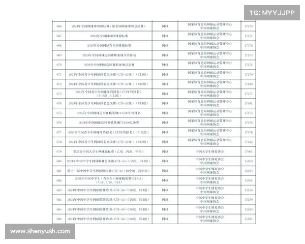 网球比赛技术评分体系分析与评估方法探讨 网球比赛技术评分体系分析与评估方法探讨