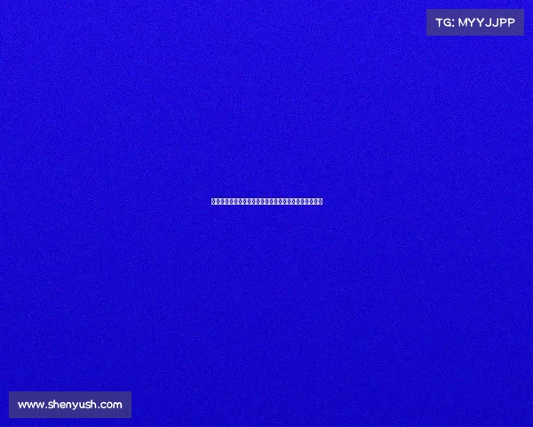 风筝冲浪探索与挑战：极限运动中的自由飞翔与海洋冒险